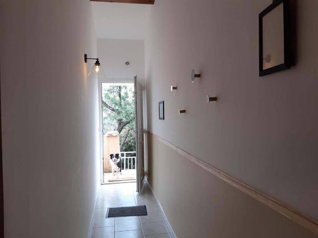 Appartement A Casa Di Paulina à Serra-di-Ferro  Extérieur photo